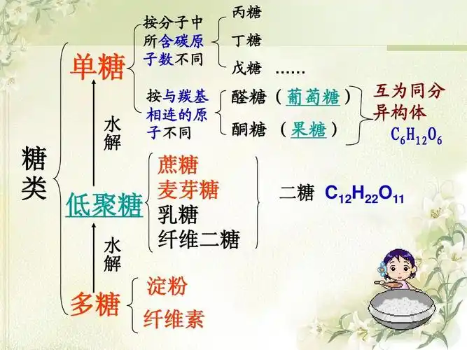 免费文档 所有分类 糖类第二课时[1]ppt