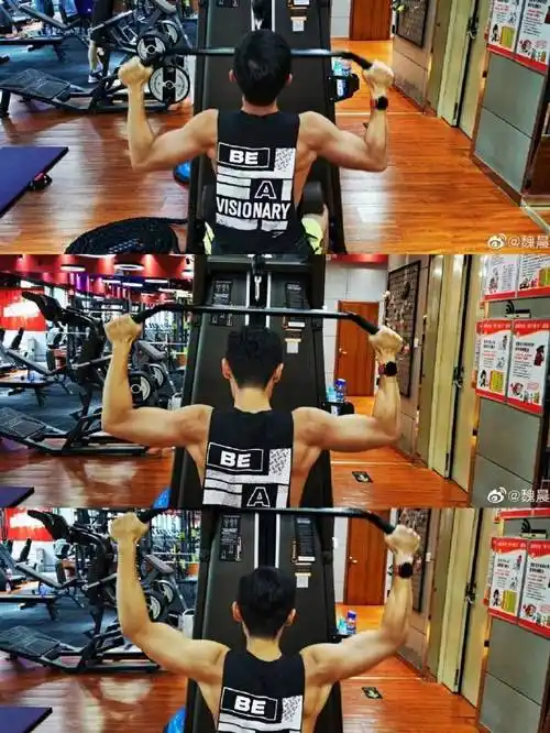 魏晨背部肌肉线条好绝