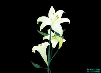 331_240gif 动态图 动图