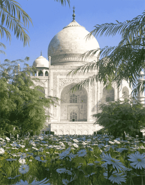 印度泰姬陵,掩映在葱郁绿植中,少了庄严和肃穆,更添几分生机与活力