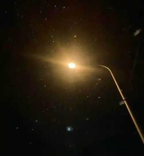 张一山深夜发文表白杨紫:爱你如初雪!杨紫百字回应太可爱!_角色