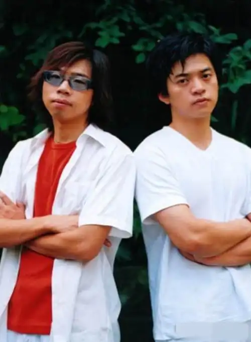 丁克19年后李健的人间清醒撕裂多少人的隐痛