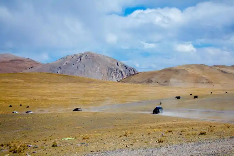 游走藏北无人区.措勤
