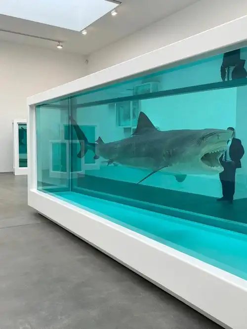 关于死亡的展 动物尸体被泡在福尔马林里别的没忍心拍 有的动物被切开