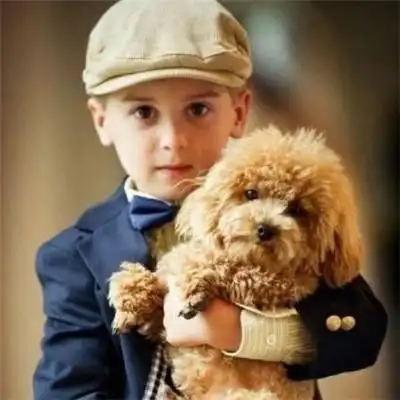 2013最新的可爱小男孩头像高清呆萌可爱小男孩发型14款,很火很帅气