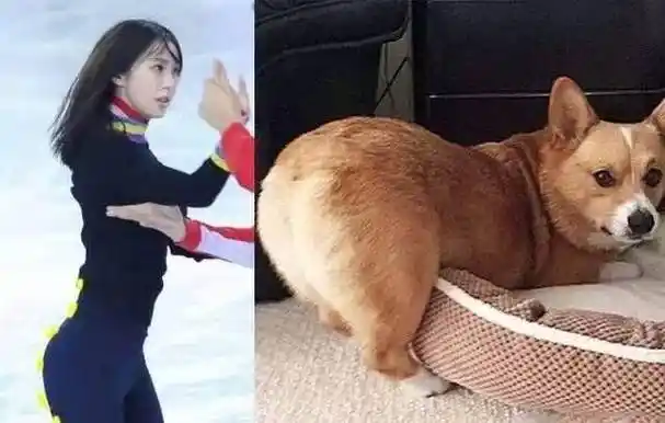 黄晓明前女友李菲儿上热门,完美柯基臀吸眼球_杨颖_事业_感情