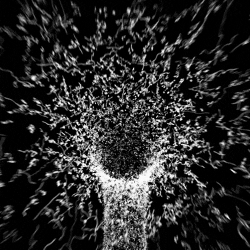 gif 动态图也许多看就不失眠了 - 堆糖,美图壁纸兴趣社区