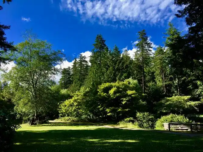 温哥华风光 写美篇  伯纳比中央公园   这是一块野趣盎然的原始森林和