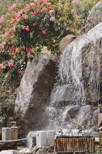 赏花 东方树玫瑰园 写美篇涨知识了!