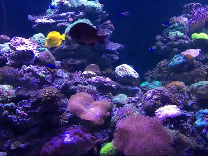 难忘的海底之旅