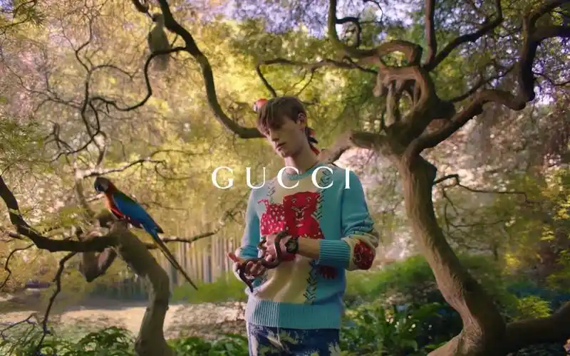 时尚guccigucci的花园2016