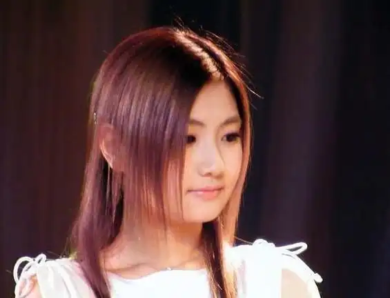 23年前红遍亚洲的女子组合she如今有人落魄有人风光