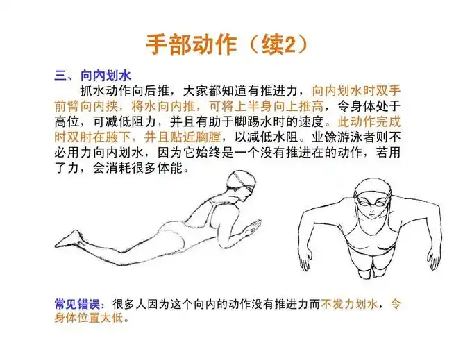 所有分类 资格考试/认证 交规考试 蛙泳技巧图解ppt 手部动作(续2) 三