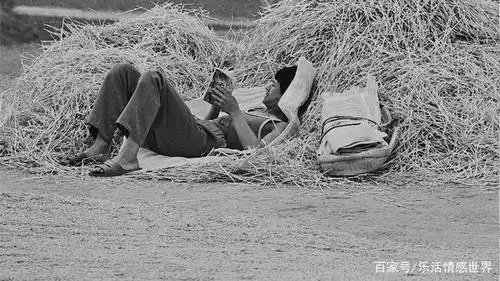 农村麦收景象老照片,满满一代人的记忆