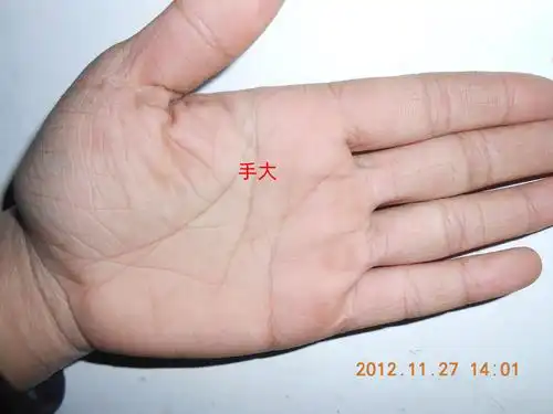 三种注定发达的手相特点,断掌,聚宝盆,一个都不能少!_手机搜狐网