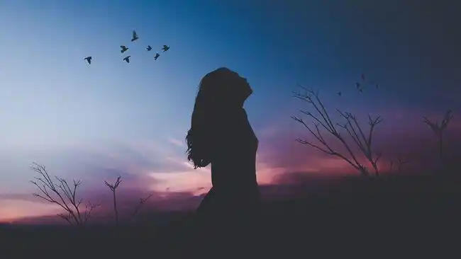 之于孤独,对不起,打扰了