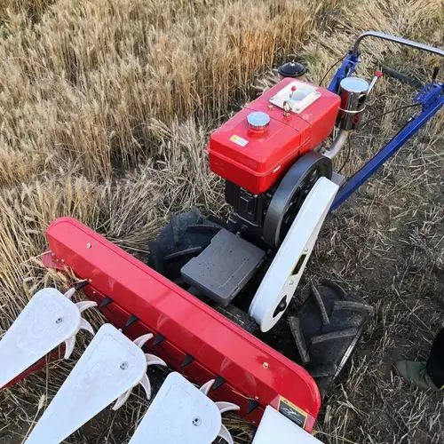 柳条,夏枯草,黑麦草,秸秆,饲草,夏枯草,橡草,薄荷,油菜,留兰香,苎麻