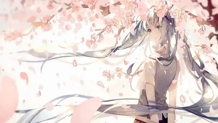电脑壁纸 动漫卡通 动漫人物 樱花动漫唯美二次元少女