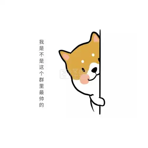 我是不是这个群里最帅的流行简约搞笑表情包