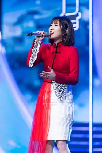 新锐国风团队"一棵小葱" 江西/青海卫视分身送祝福