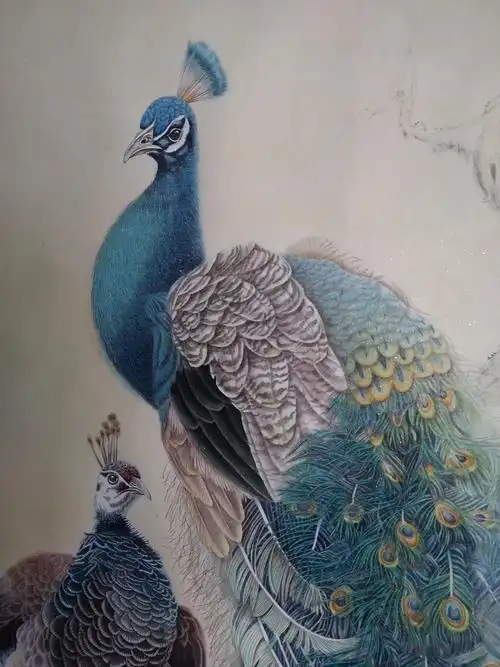工笔孔雀