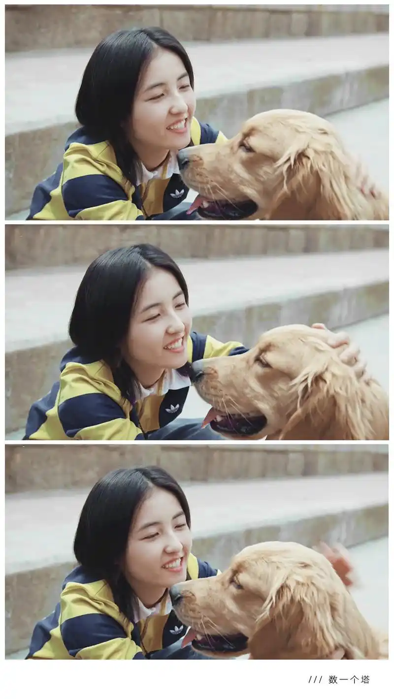 宠爱预告片×张子枫