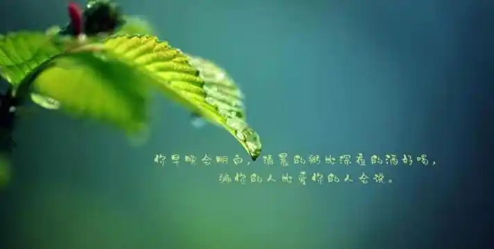 生活很苦现实很累的说说生活太难的说说心情句子