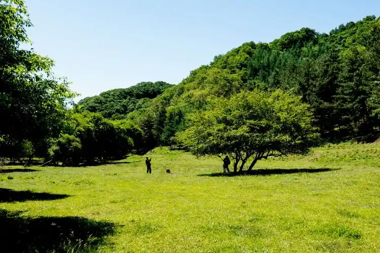 凤县宽滩草甸——原生态景色引人入胜
