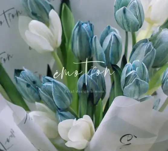 蓝色郁金香送给男朋友的花