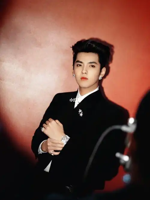 吴亦凡宝格丽2020