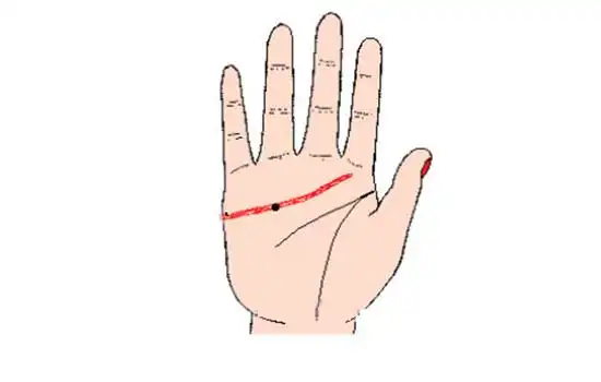 一个人右手无名指的感情线上有痣,则表示这个人做事很细心,感情上心思