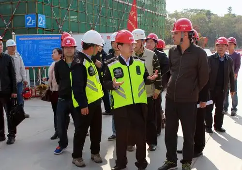 1月29日李廷忠局长视察建筑工地