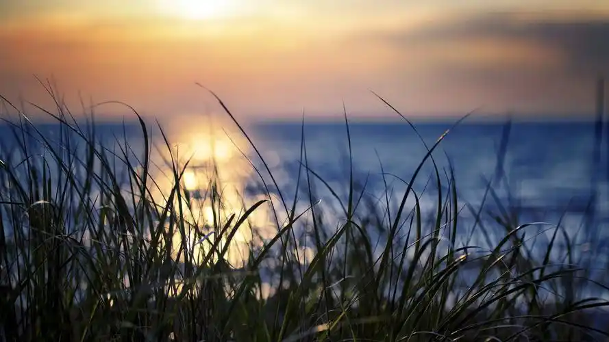 五一哪儿玩?玻璃吊桥不算啥这里集齐了十大高空项目