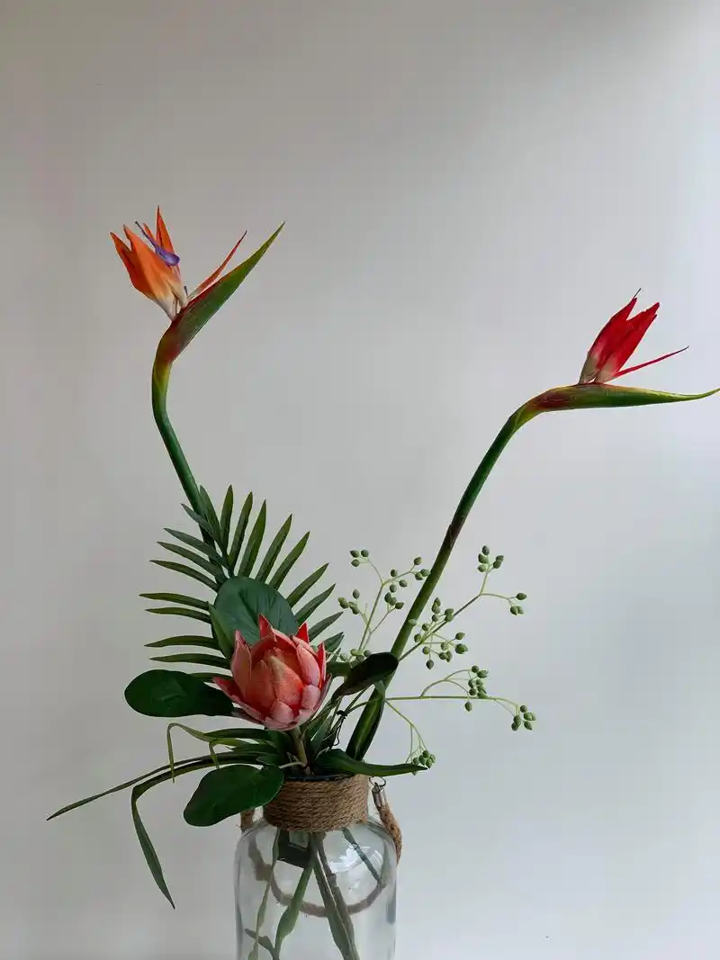 天堂鸟花花语及寓意