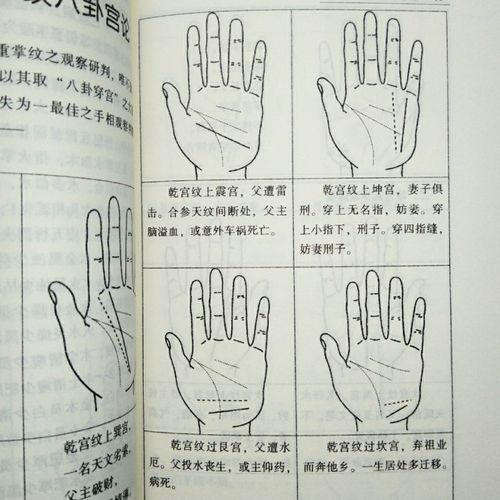 图解看手相页手相面相全书