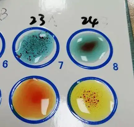 血型o变b!神操作?