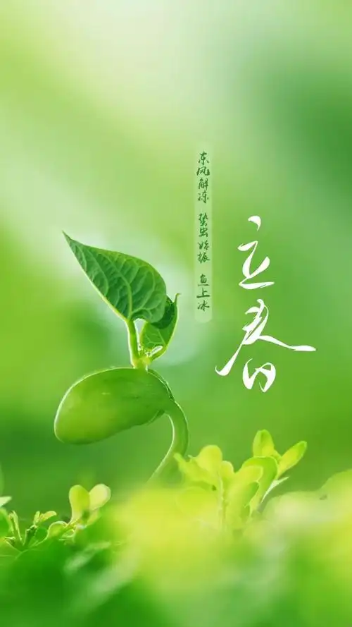 太全了,立春最应该干啥?