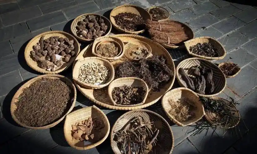 万胜苗颜堂丨贵州苗药的发展史