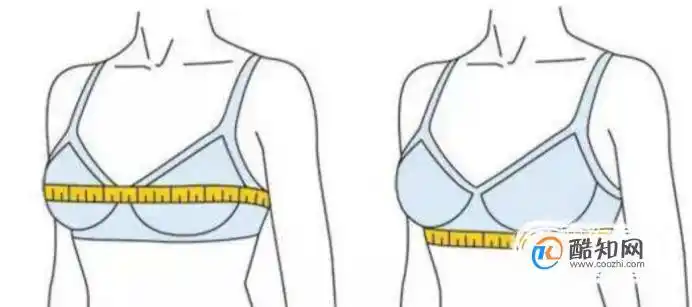 如何正确测量三围优质