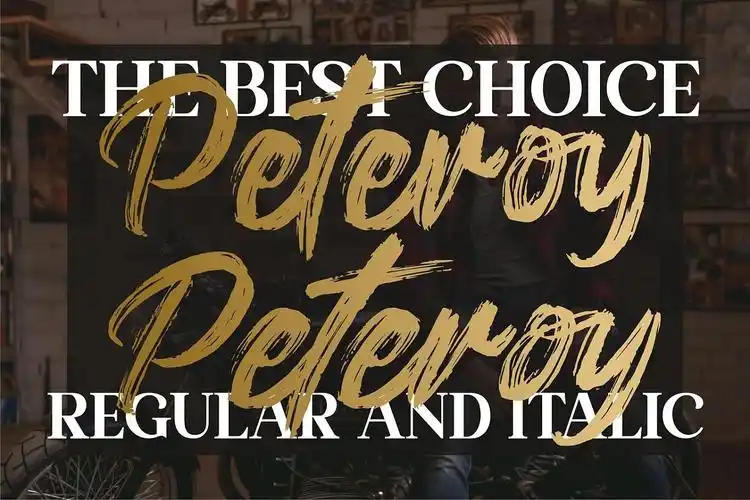 中国风水墨毛笔英文字体设计