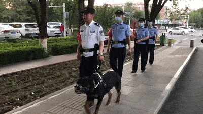 硬核公安局长携犬上街巡逻