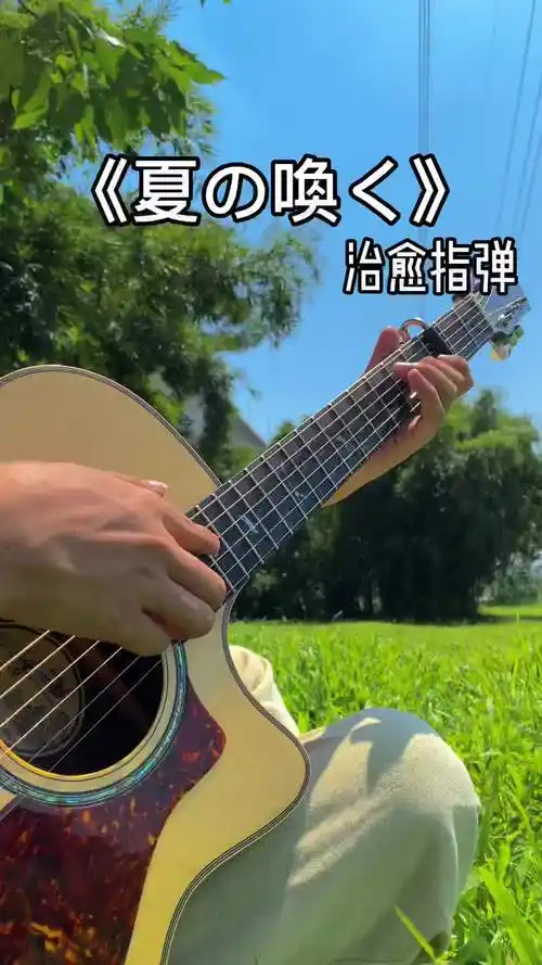 夏日里的遗憾一定会被秋风温柔化解夏喚治愈系音乐吉他指弹