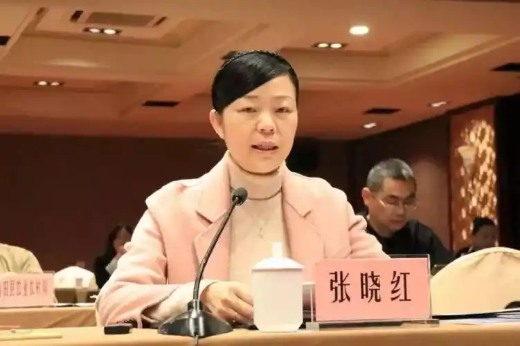 我市召开2018年度"丽水山居"农家乐综合体和精品民宿示范项目评审会