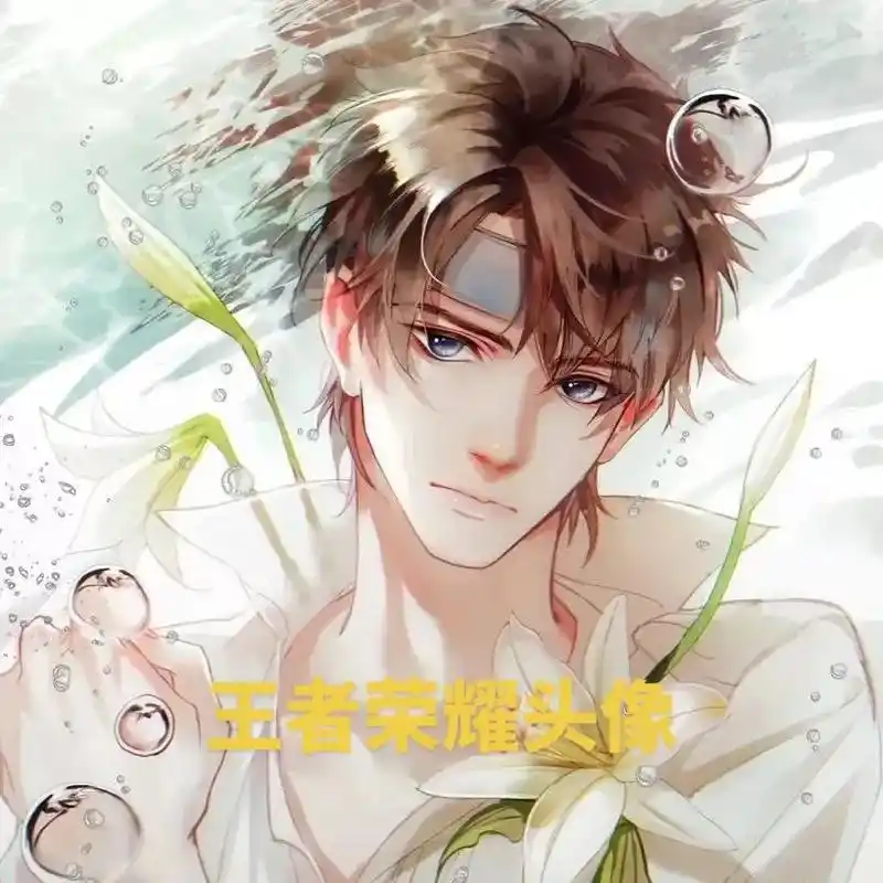 王者荣耀头像  #一起换头像 #兄弟头像  取图荣耀10连 - 抖音