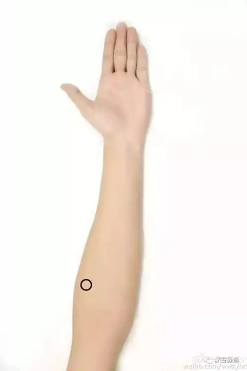 1,孔最:前臂掌面拇指一线,肘横纹下2寸(3指宽)2,鱼际:第一掌骨中点,赤