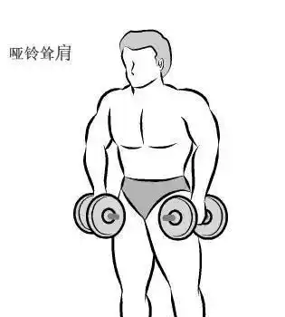 男人胸肌简笔画(简笔画图片大全) -【爱个性】