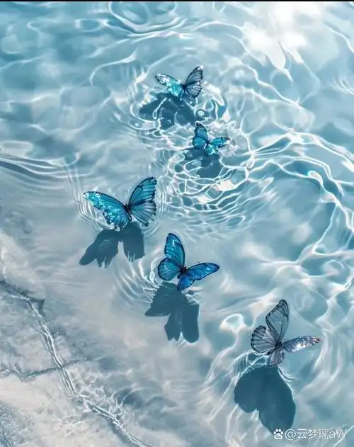 夏日清凉,蝴蝶共舞于水面,心情也随之翩翩起舞.