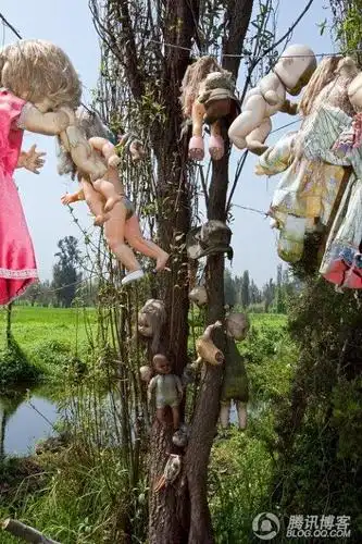 恐怖的墨西哥城鬼娃娃岛