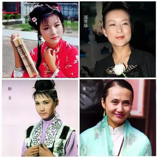 87版红楼梦人物关系大图高清(87版红楼梦20位美人今昔对比照)(4)