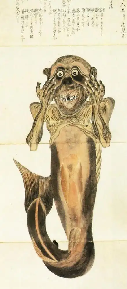 日本鬼子活吃美人鱼事件,日本人真的吃了活美人鱼吗